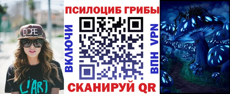 закладки  Козловка  Псилоцибиновые грибы GOLDEN TEACHER 